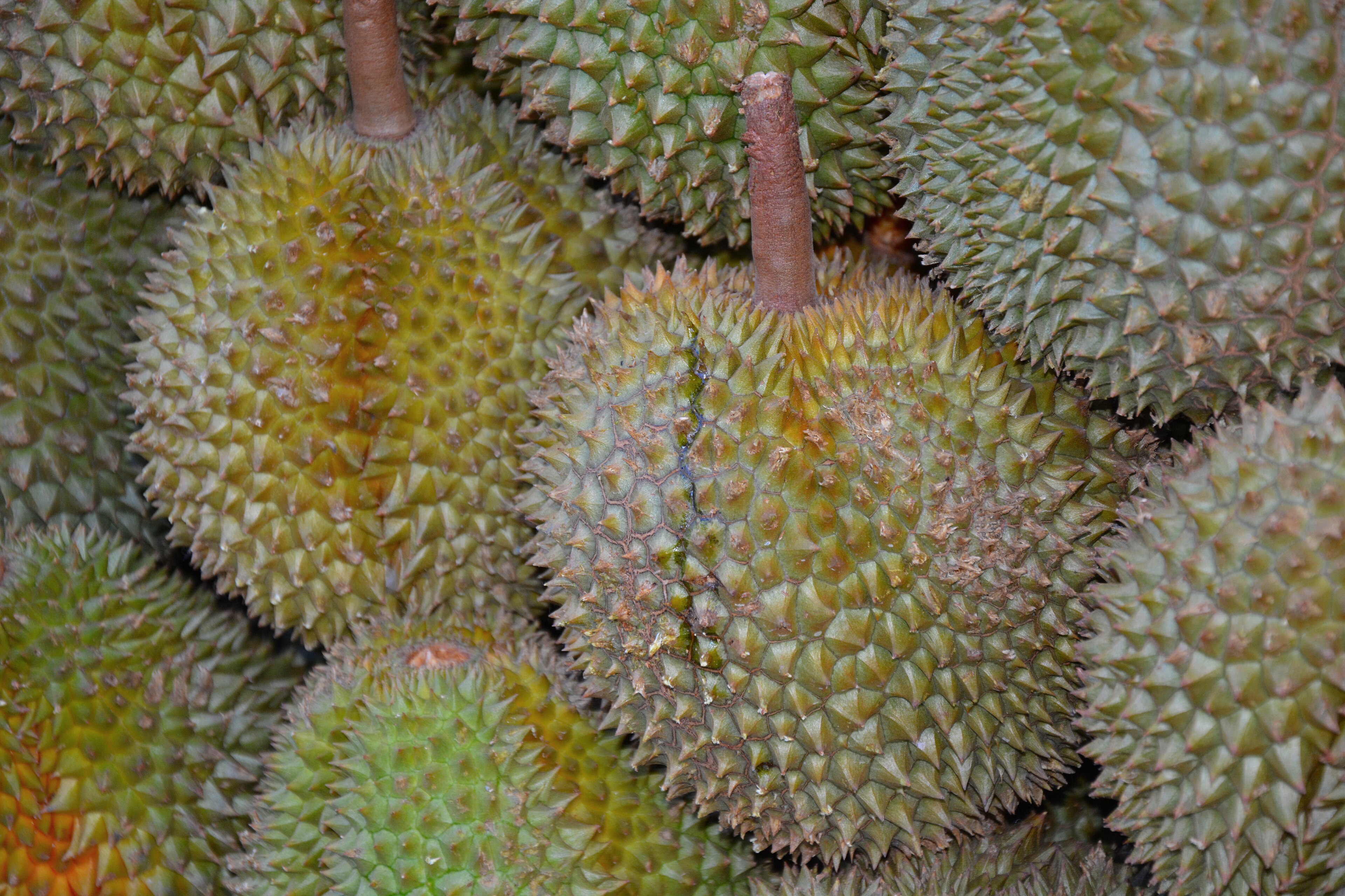 Durian esposti in un negozio di Singapore